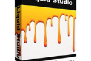 Pixarra TwistedBrush Liquid Studio v5.04