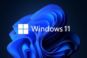 Windows 10 & Windows 11数字激活自动批处理版v14-落尘之木