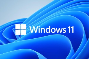 更新安装 Windows 11 跳过 TMP2.0 限制脚本-落尘之木